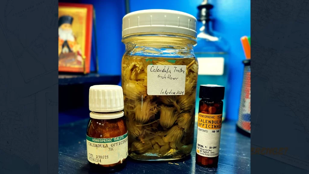 homeopathic remedies herbal remedies homeopathic prescription